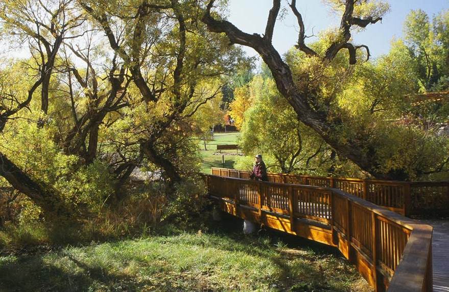 Inline image showing a bridge located at Wilbur D. May Arboretum & Botanical Garden in Rancho San Rafael Park