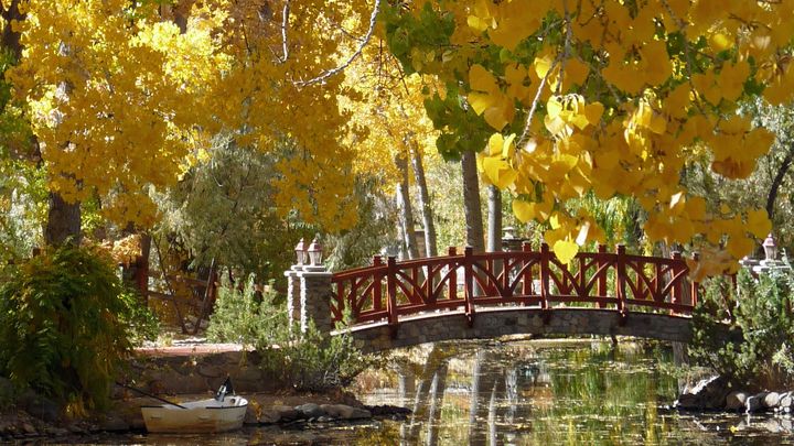 inline image showing a bridge over Caughlin Ranch Pond in the fall.