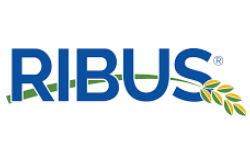Inline image showing the Ribus logo